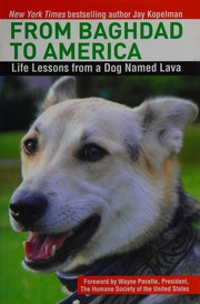 From Baghdad to America : life lessons from a dog named Lava  Cover Image