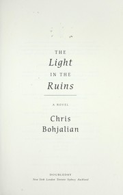 The light in the ruins : a novel  Cover Image