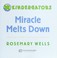 Go to record Miracle melts down
