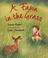 Go to record A fawn in the grass