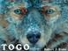 Go to record Togo